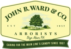 JohnWard